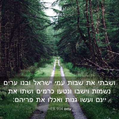 Picture 03 - עמוס 9:14 HEB - ושבתי את שבות עמי ישראל - Bible Verse Picture