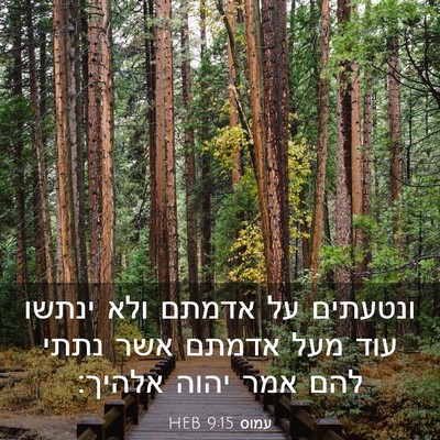 Picture 03 - עמוס 9:15 HEB - ונטעתים על אדמתם ולא ינתשו - Bible Verse Picture