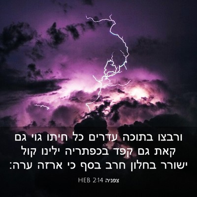 Picture 03 - צפניה 2:14 HEB - ורבצו בתוכה עדרים כל חיתו - Bible Verse Picture