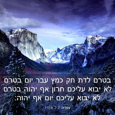 Picture 03 - צפניה 2:2 HEB - בטרם לדת חק כמץ עבר יום - Bible Verse Picture