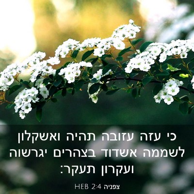 Picture 03 - צפניה 2:4 HEB - כי עזה עזובה תהיה ואשקלון - Bible Verse Picture
