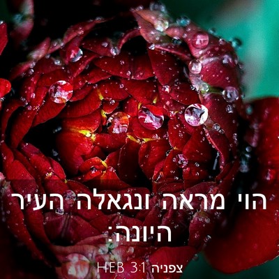 Picture 03 - צפניה 3:1 HEB - הוי מראה ונגאלה העיר - Bible Verse Picture
