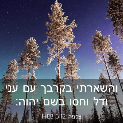 Picture 03 - צפניה 3:12 HEB - והשארתי בקרבך עם עני ודל - Bible Verse Picture