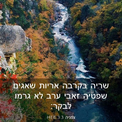 Picture 03 - צפניה 3:3 HEB - שריה בקרבה אריות שאגים - Bible Verse Picture