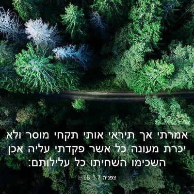 Picture 03 - צפניה 3:7 HEB - אמרתי אך תיראי אותי תקחי - Bible Verse Picture