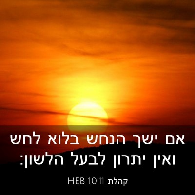 Picture 03 - קהלת 10:11 HEB - אם ישך הנחש בלוא לחש ואין - Bible Verse Picture