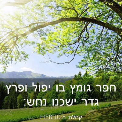 Picture 03 - קהלת 10:8 HEB - חפר גומץ בו יפול ופרץ גדר - Bible Verse Picture