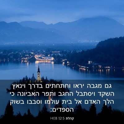 Picture 03 - קהלת 12:5 HEB - גם מגבה יראו וחתחתים בדרך - Bible Verse Picture