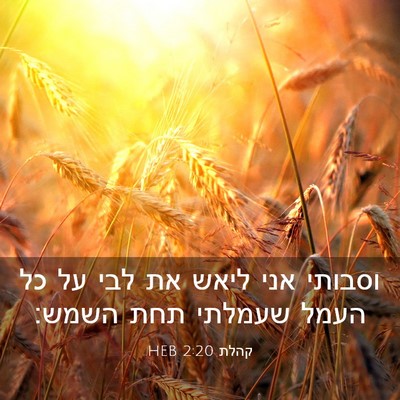 Picture 03 - קהלת 2:20 HEB - וסבותי אני ליאש את לבי על - Bible Verse Picture