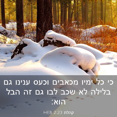 Picture 03 - קהלת 2:23 HEB - כי כל ימיו מכאבים וכעס - Bible Verse Picture