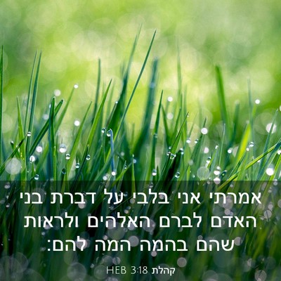Picture 03 - קהלת 3:18 HEB - אמרתי אני בלבי על דברת בני - Bible Verse Picture
