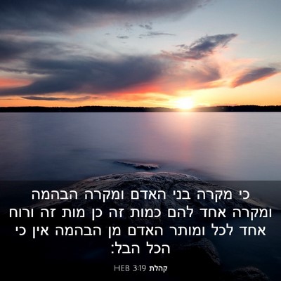 Picture 03 - קהלת 3:19 HEB - כי מקרה בני האדם ומקרה - Bible Verse Picture