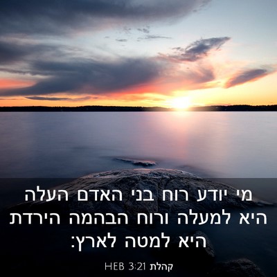 Picture 03 - קהלת 3:21 HEB - מי יודע רוח בני האדם העלה - Bible Verse Picture