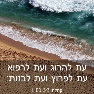 Picture 03 - קהלת 3:3 HEB - עת להרוג ועת לרפוא עת לפרוץ - Bible Verse Picture