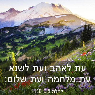 Picture 03 - קהלת 3:8 HEB - עת לאהב ועת לשנא עת מלחמה - Bible Verse Picture