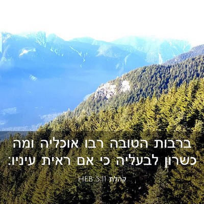 Picture 03 - קהלת 5:11 HEB - ברבות הטובה רבו אוכליה ומה - Bible Verse Picture