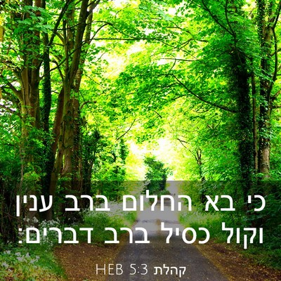 Picture 03 - קהלת 5:3 HEB - כי בא החלום ברב ענין וקול - Bible Verse Picture