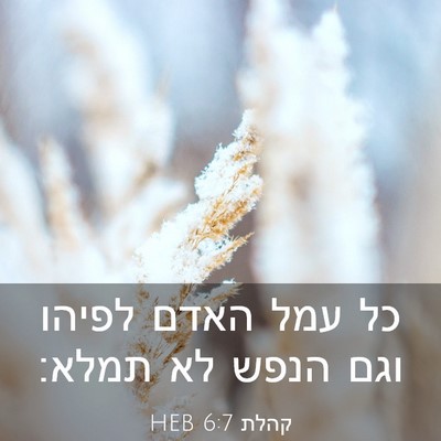 Picture 03 - קהלת 6:7 HEB - כל עמל האדם לפיהו וגם הנפש - Bible Verse Picture