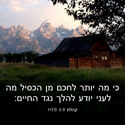 Picture 03 - קהלת 6:8 HEB - כי מה יותר לחכם מן הכסיל מה - Bible Verse Picture