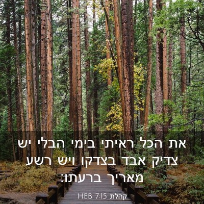 Picture 03 - קהלת 7:15 HEB - את הכל ראיתי בימי הבלי יש - Bible Verse Picture