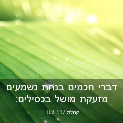Picture 03 - קהלת 9:17 HEB - דברי חכמים בנחת נשמעים - Bible Verse Picture