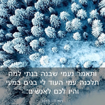 Picture 03 - רות 1:11 HEB - ותאמר נעמי שבנה בנתי למה - Bible Verse Picture