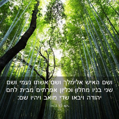 Picture 03 - רות 1:2 HEB - ושם האיש אלימלך ושם אשתו - Bible Verse Picture