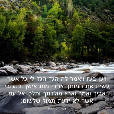 Picture 03 - רות 2:11 HEB - ויען בעז ויאמר לה הגד הגד - Bible Verse Picture