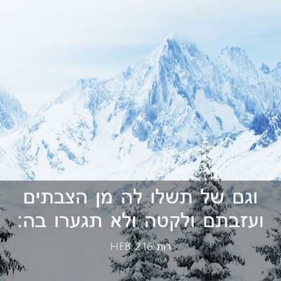 Picture 03 - רות 2:16 HEB - וגם של תשלו לה מן הצבתים - Bible Verse Picture
