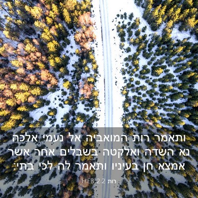 Picture 03 - רות 2:2 HEB - ותאמר רות המואביה אל נעמי - Bible Verse Picture
