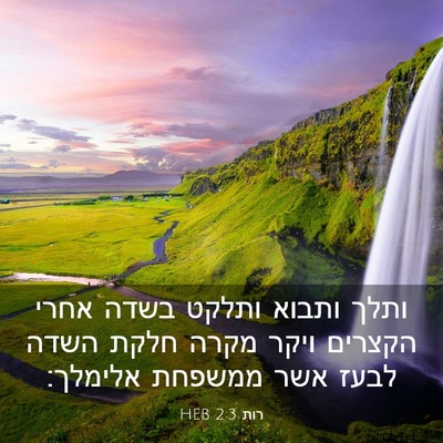 Picture 03 - רות 2:3 HEB - ותלך ותבוא ותלקט בשדה אחרי - Bible Verse Picture