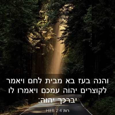 Picture 03 - רות 2:4 HEB - והנה בעז בא מבית לחם ויאמר - Bible Verse Picture