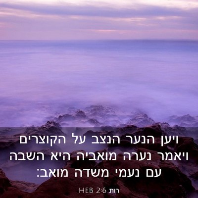 Picture 03 - רות 2:6 HEB - ויען הנער הנצב על הקוצרים - Bible Verse Picture