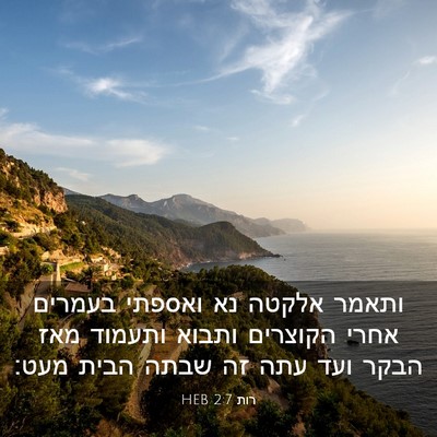 Picture 03 - רות 2:7 HEB - ותאמר אלקטה נא ואספתי - Bible Verse Picture