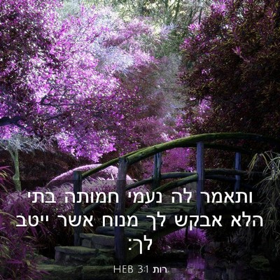 Picture 03 - רות 3:1 HEB - ותאמר לה נעמי חמותה בתי הלא - Bible Verse Picture