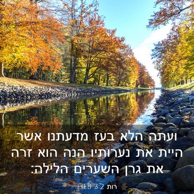 Picture 03 - רות 3:2 HEB - ועתה הלא בעז מדעתנו אשר - Bible Verse Picture