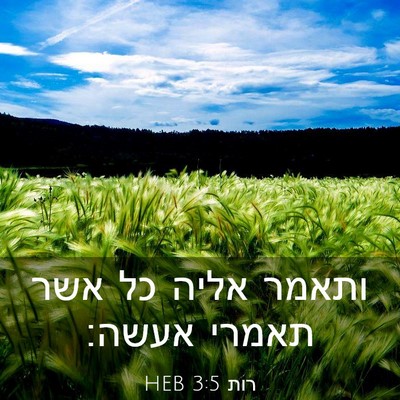 Picture 03 - רות 3:5 HEB - ותאמר אליה כל אשר תאמרי - Bible Verse Picture