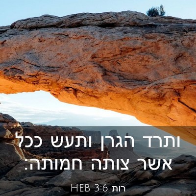 Picture 03 - רות 3:6 HEB - ותרד הגרן ותעש ככל אשר צותה - Bible Verse Picture