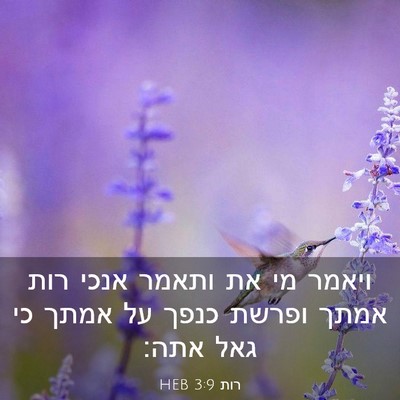 Picture 03 - רות 3:9 HEB - ויאמר מי את ותאמר אנכי רות - Bible Verse Picture