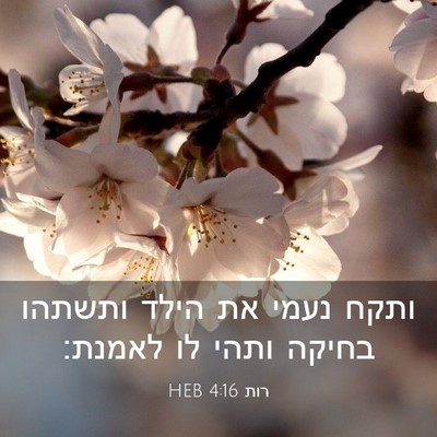 Picture 03 - רות 4:16 HEB - ותקח נעמי את הילד ותשתהו - Bible Verse Picture