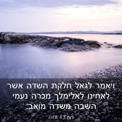 Picture 03 - רות 4:3 HEB - ויאמר לגאל חלקת השדה אשר - Bible Verse Picture
