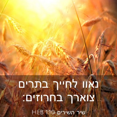 Picture 03 - שיר השירים 1:10 HEB - נאוו לחייך בתרים צוארך - Bible Verse Picture