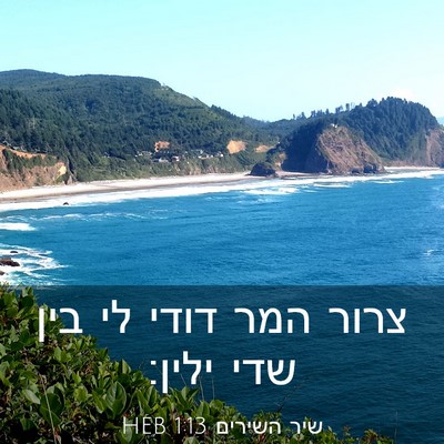Picture 03 - שיר השירים 1:13 HEB - צרור המר דודי לי בין שדי - Bible Verse Picture
