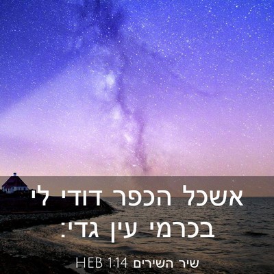 Picture 03 - שיר השירים 1:14 HEB - אשכל הכפר דודי לי בכרמי עין - Bible Verse Picture