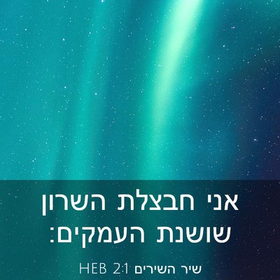 Picture 03 - שיר השירים 2:1 HEB - אני חבצלת השרון שושנת - Bible Verse Picture