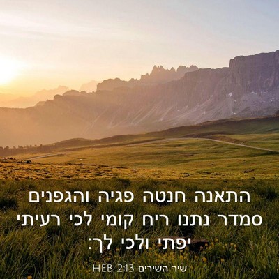 Picture 03 - שיר השירים 2:13 HEB - התאנה חנטה פגיה והגפנים - Bible Verse Picture