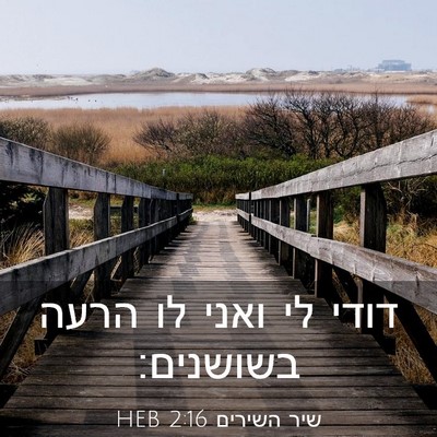 Picture 03 - שיר השירים 2:16 HEB - דודי לי ואני לו הרעה - Bible Verse Picture