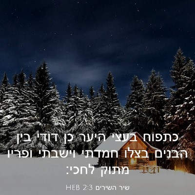 Picture 03 - שיר השירים 2:3 HEB - כתפוח בעצי היער כן דודי בין - Bible Verse Picture