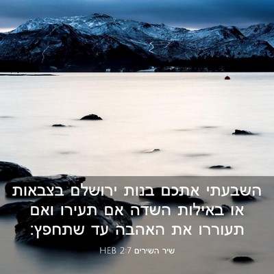 Picture 03 - שיר השירים 2:7 HEB - השבעתי אתכם בנות ירושלם - Bible Verse Picture