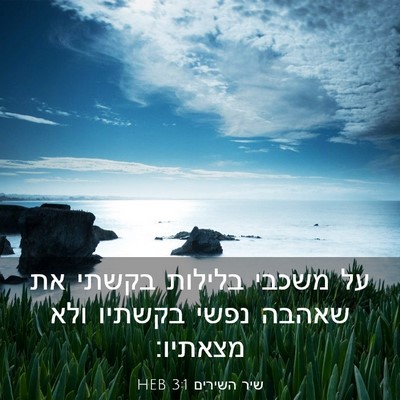 Picture 03 - שיר השירים 3:1 HEB - על משכבי בלילות בקשתי את - Bible Verse Picture